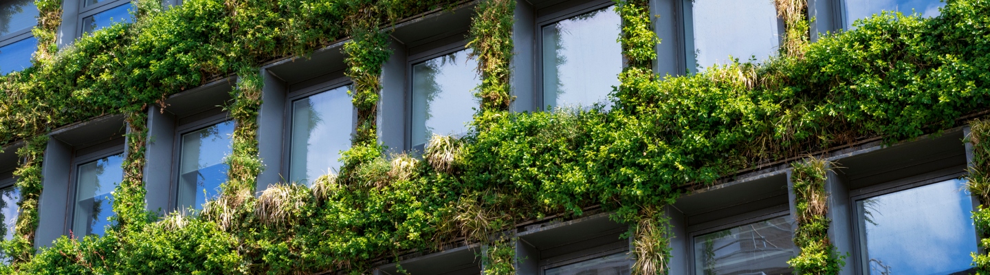 How BREEAM can support your journey to net zero carbon