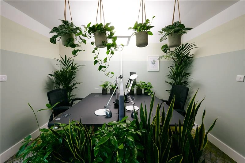  biophilic designs for offices