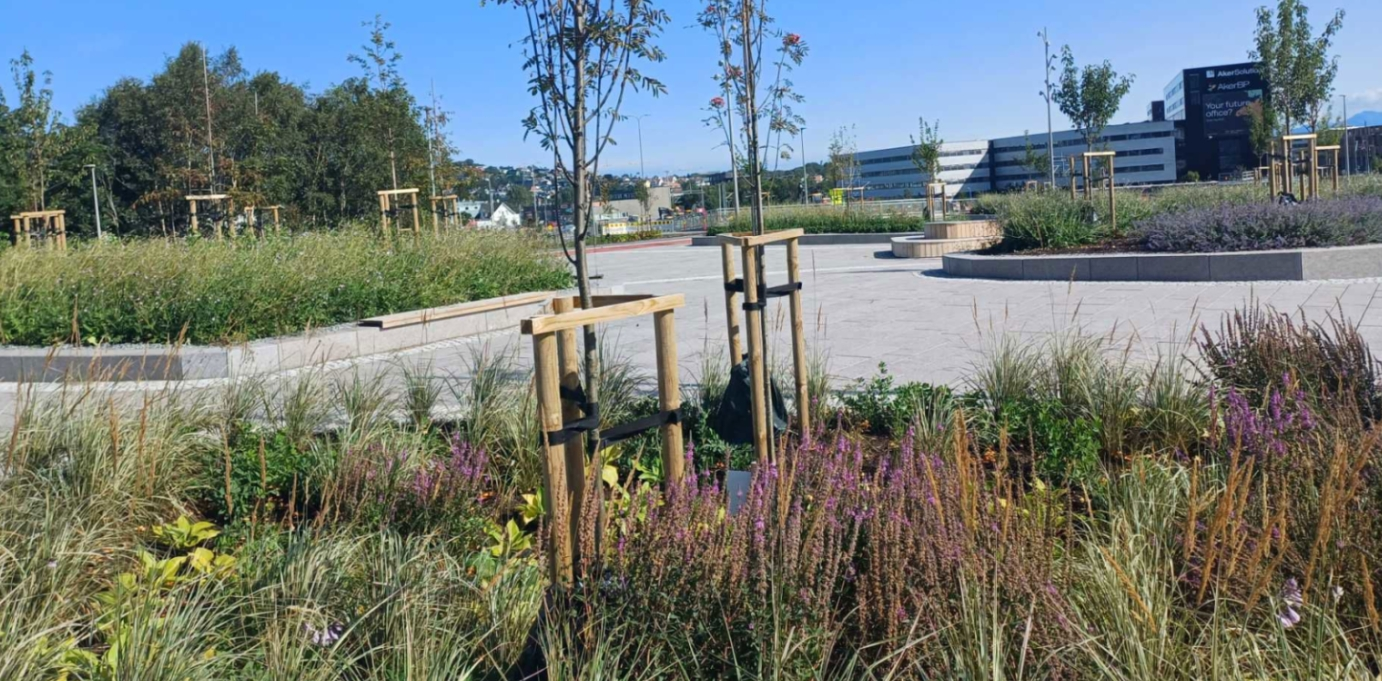 BREEAM Infrastructure: Fv.44 Bussveien sustainable urban busway 