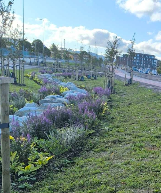 BREEAM Infrastructure: Fv.44 Bussveien sustainable urban busway 