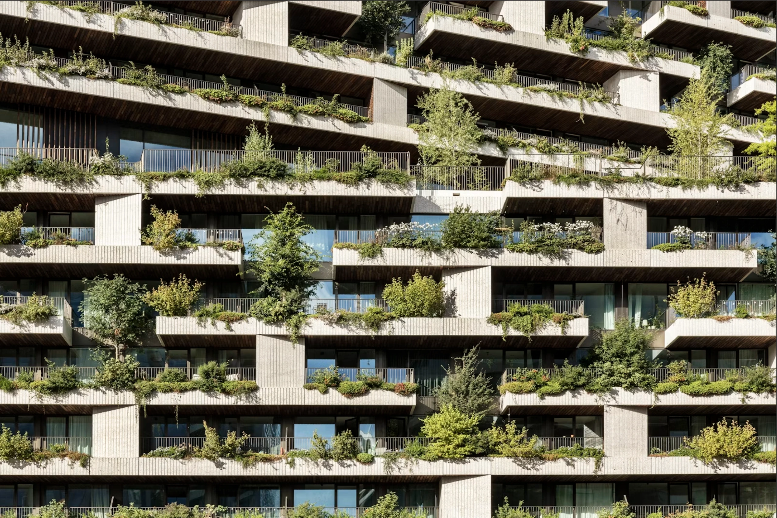 Climate Resilience Excellence: Wonderwoods