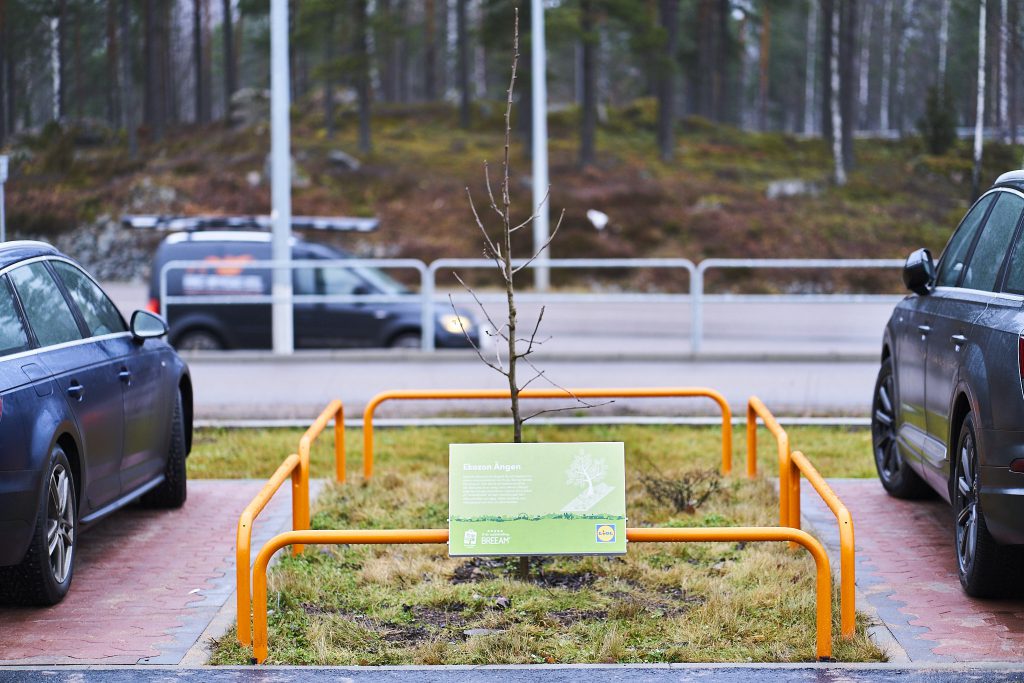 A new tree planted in the carpark of Lidl Sweden’s store in Växjö.