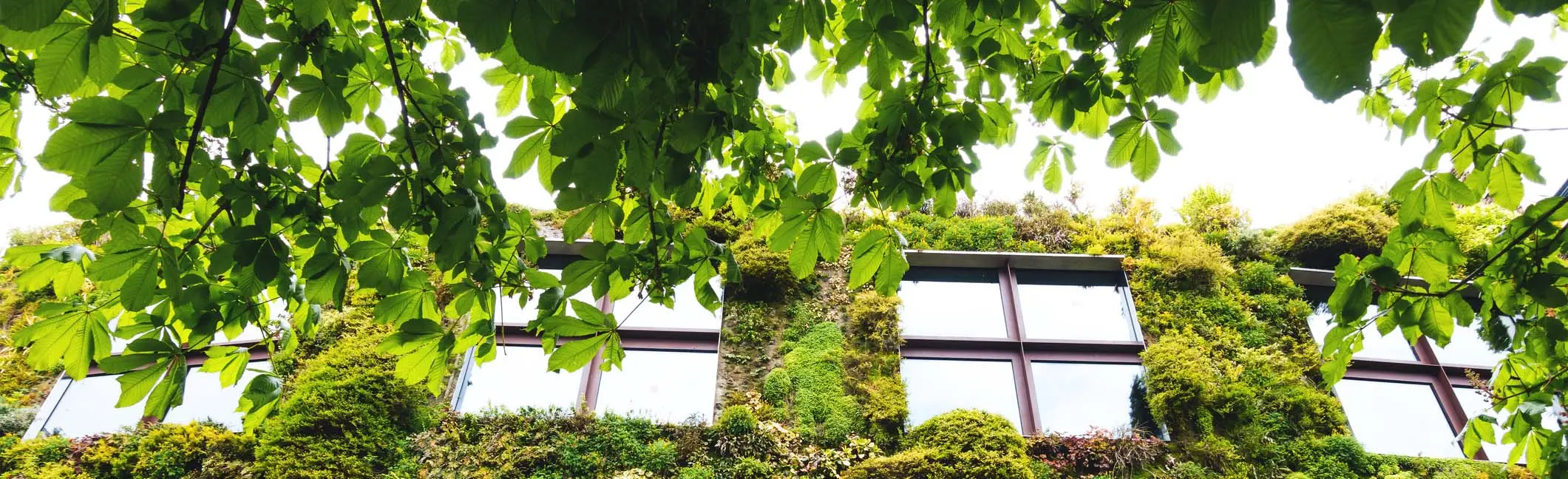 Masthusen in Sweden achieve ‘very good’ with BREEAM Communities